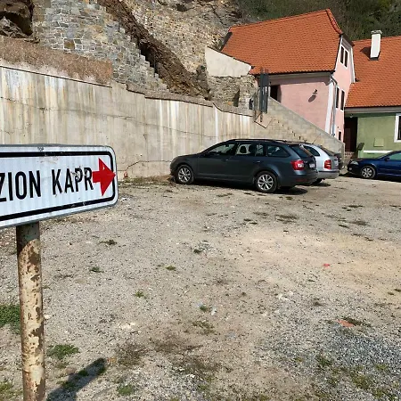 Kapr Český Krumlov